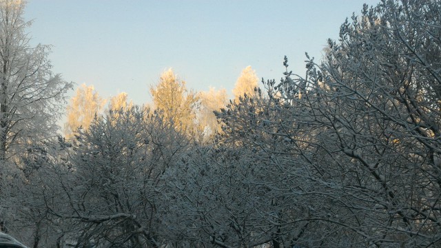 P_20160117_120230.jpg