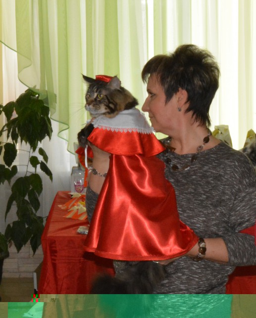 DSC_0995_crа.jpg