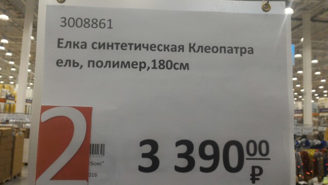 P_20161126_165922.jpg