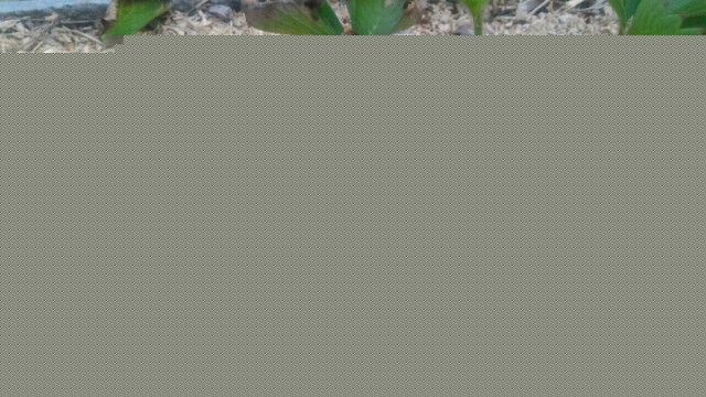 P_20170624_195825_1_p.jpg