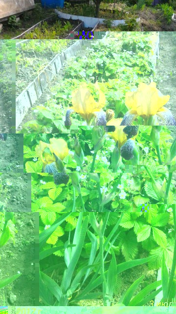 P_20170703_112735_1_p.jpg