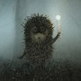 Аватара пользователя